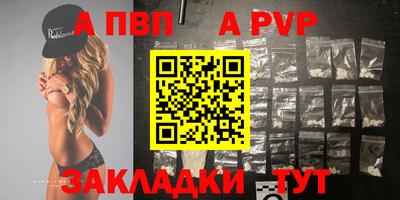стафф Кингисепп