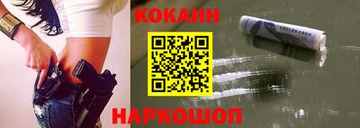 стафф Кингисепп