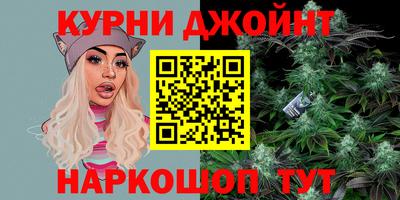 стафф Кингисепп