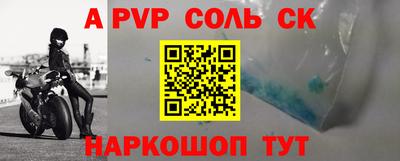стафф Кингисепп