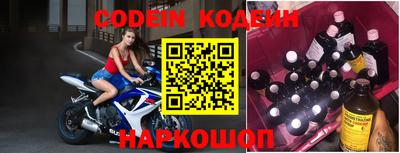 стафф Кингисепп
