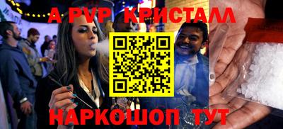 стафф Кингисепп