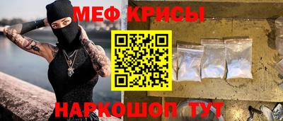 стафф Кингисепп